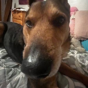 Meet your Posher, Jo